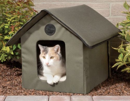 Best Heated Cat Houses