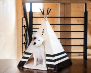 Best Dog Teepee Beds